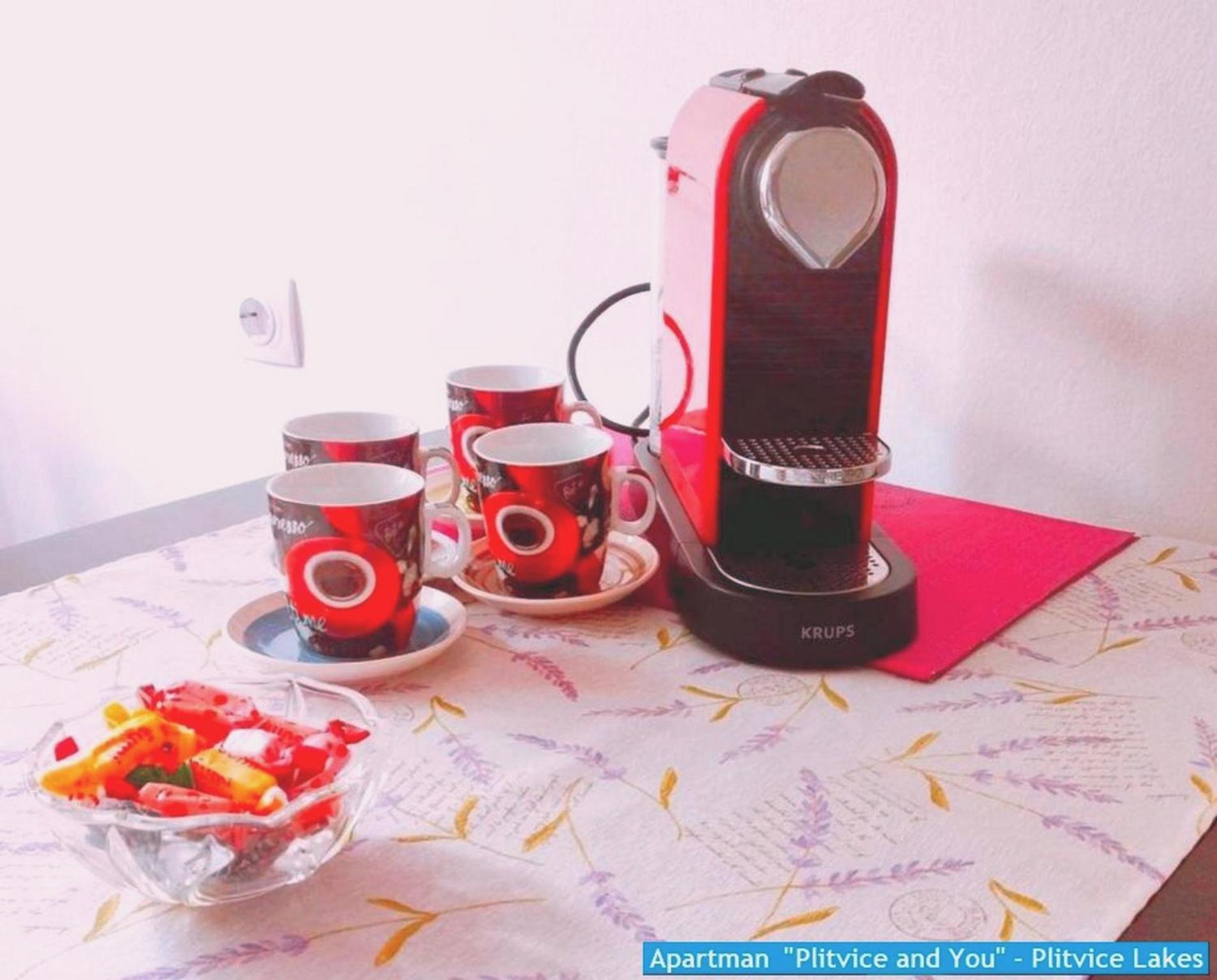 Apartman "Plitvice And You" Plitvicka Jezera Bagian luar foto